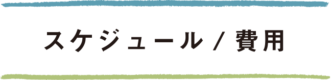 スケジュール/費用