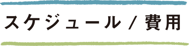スケジュール/費用
